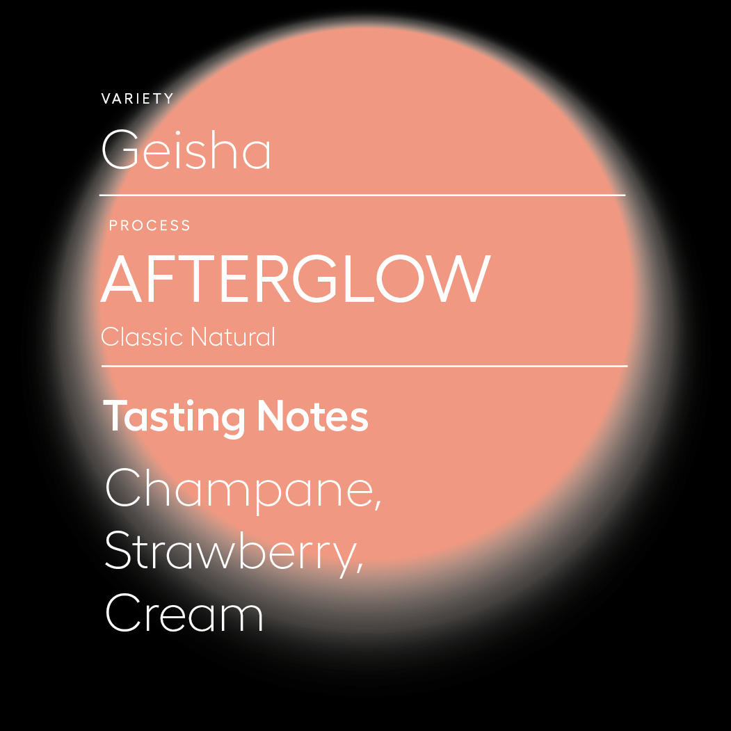 Afterglow | Classic Natural Geisha