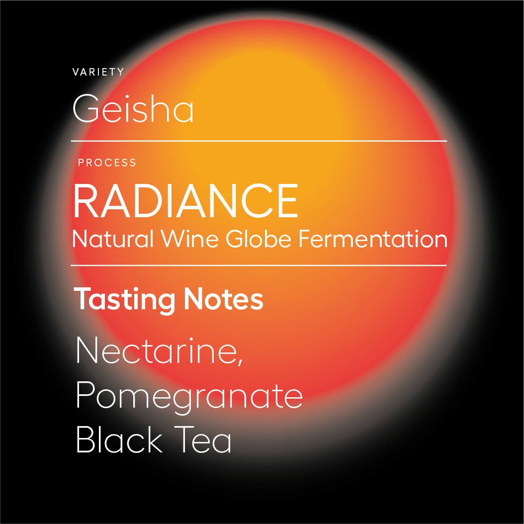 Whole Bean Membership