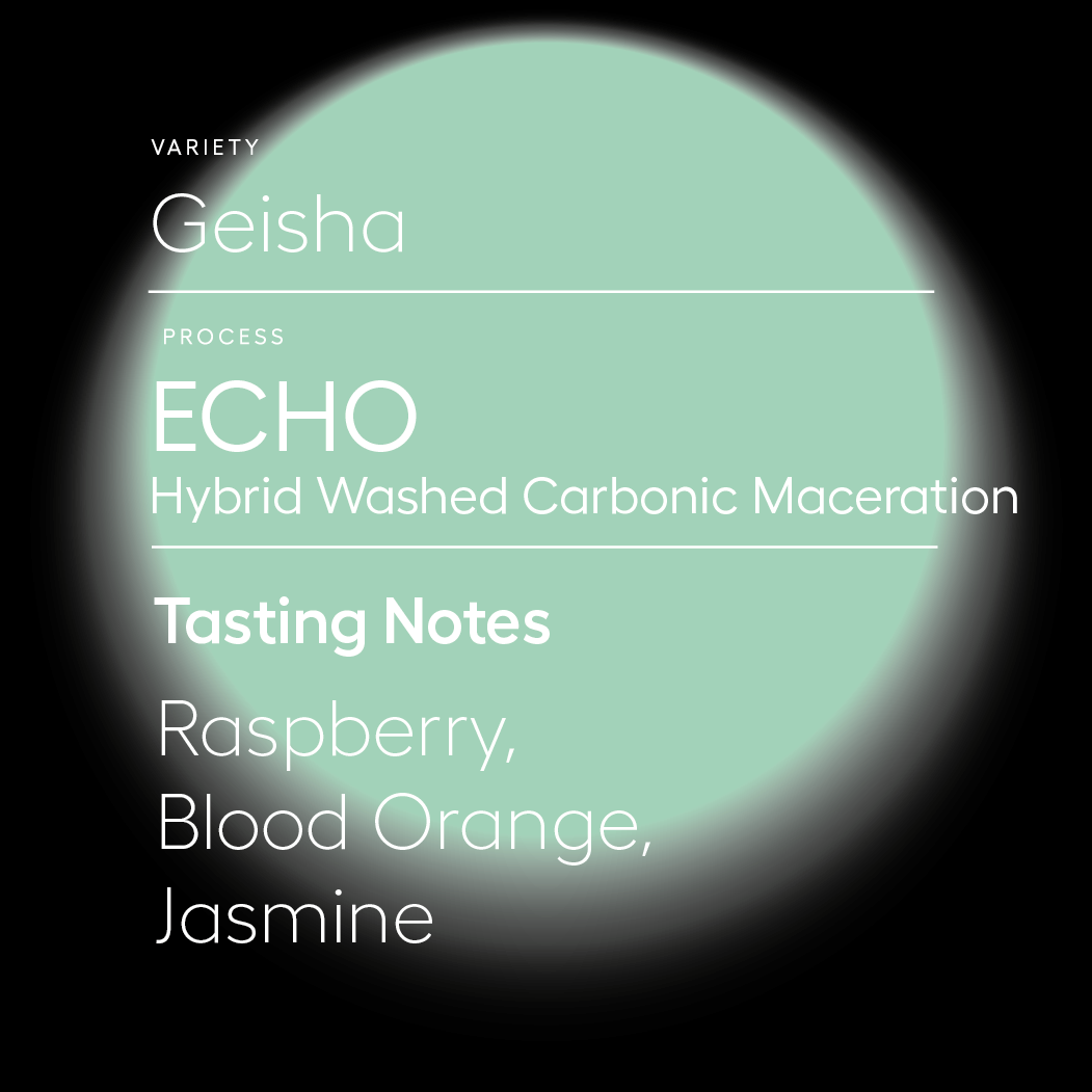 Finca Deborah | Echo