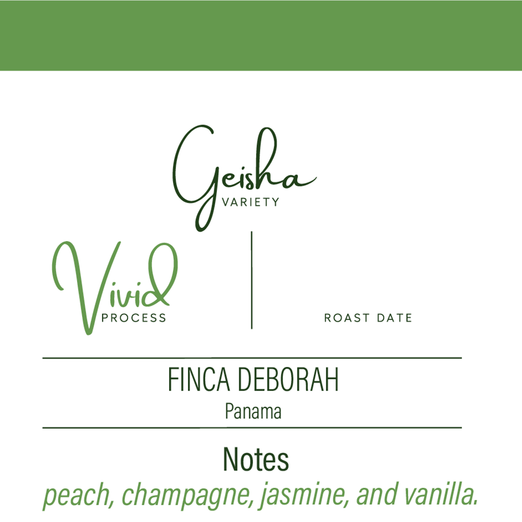 Vivid | Hybrid Process Geisha