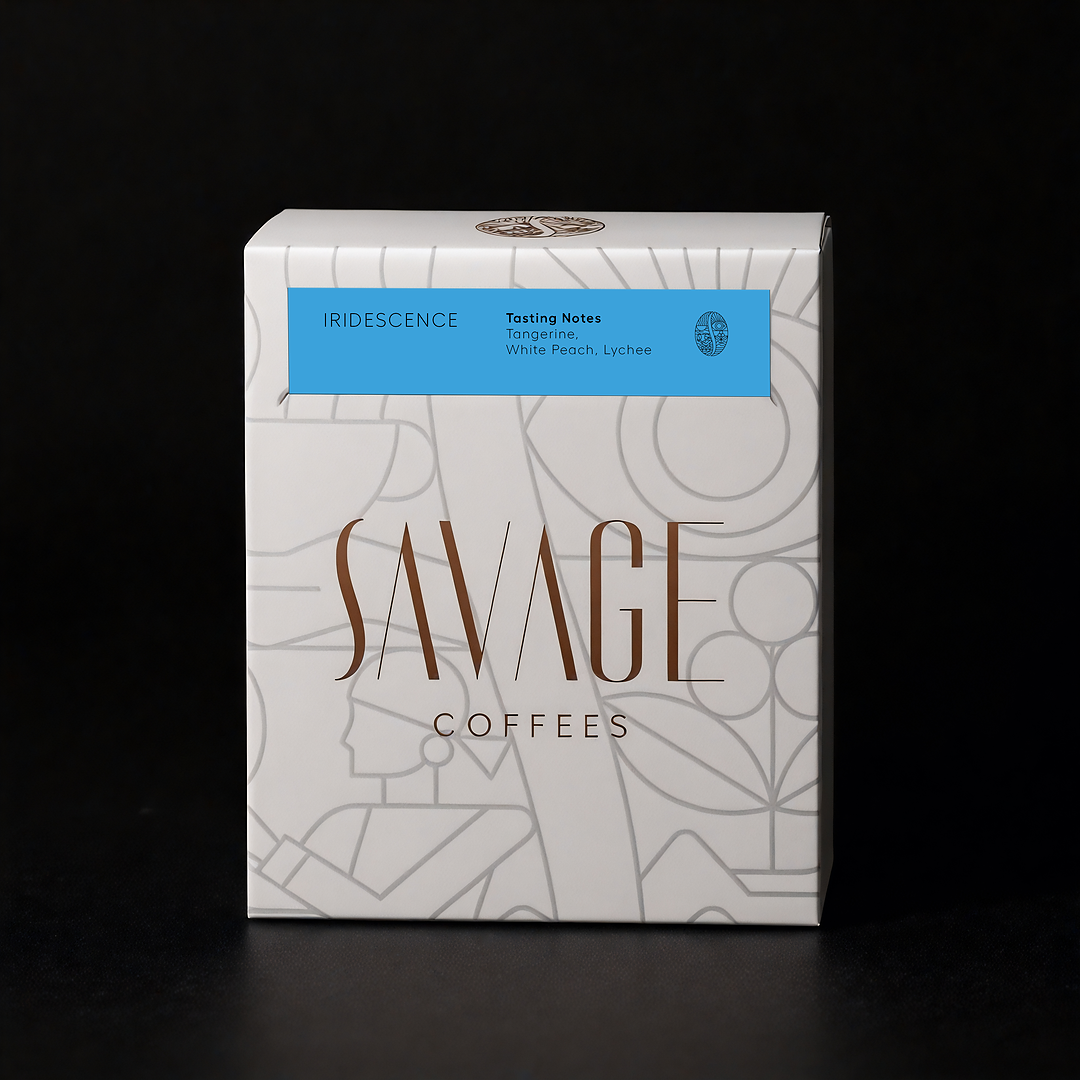 Iridescence | Geisha