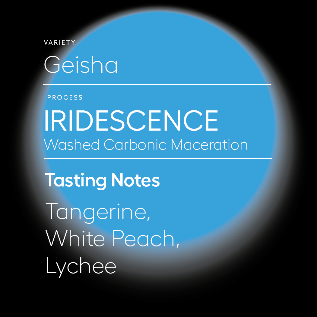 Iridescence | Geisha