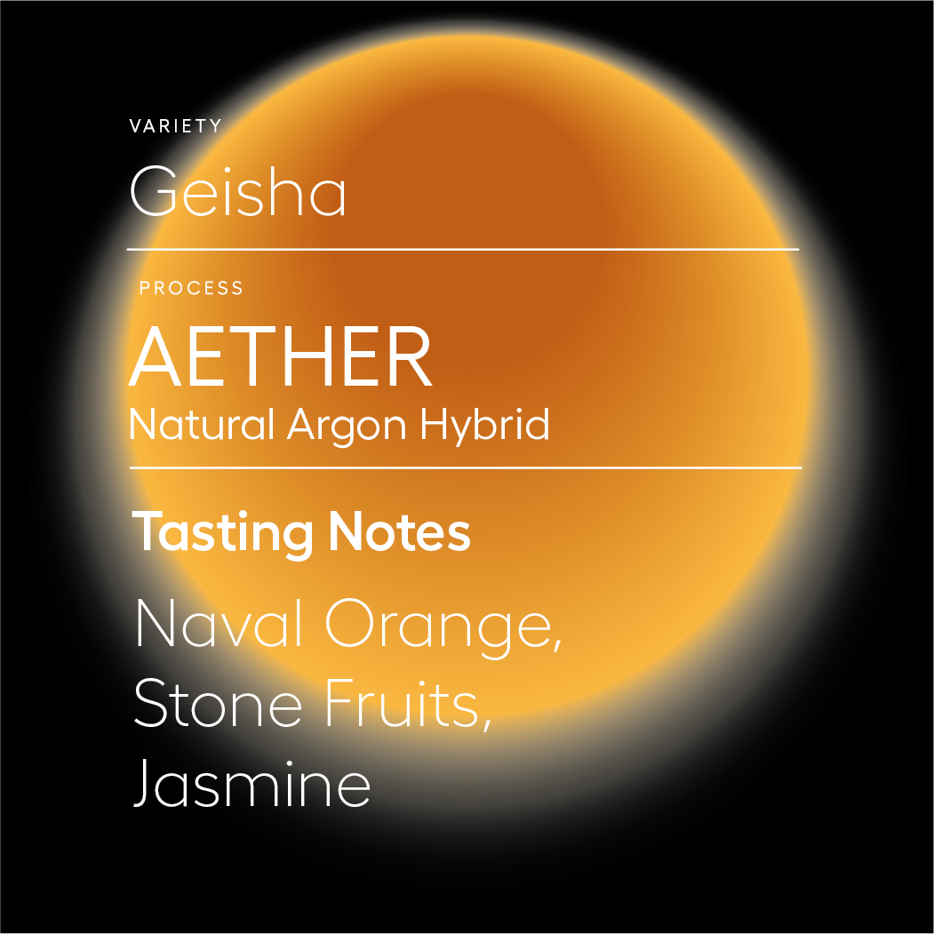 Whole Bean Membership