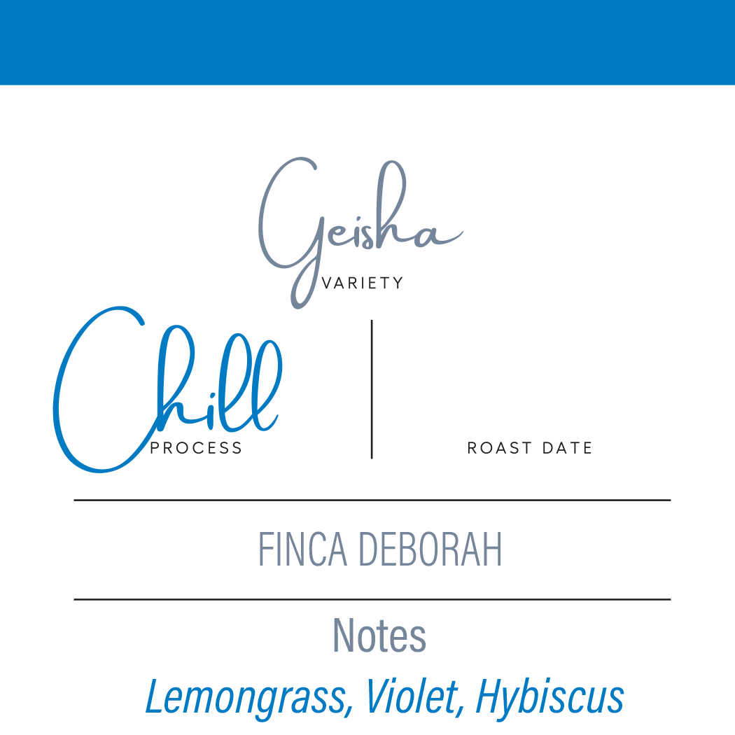 Finca Deborah | Chill