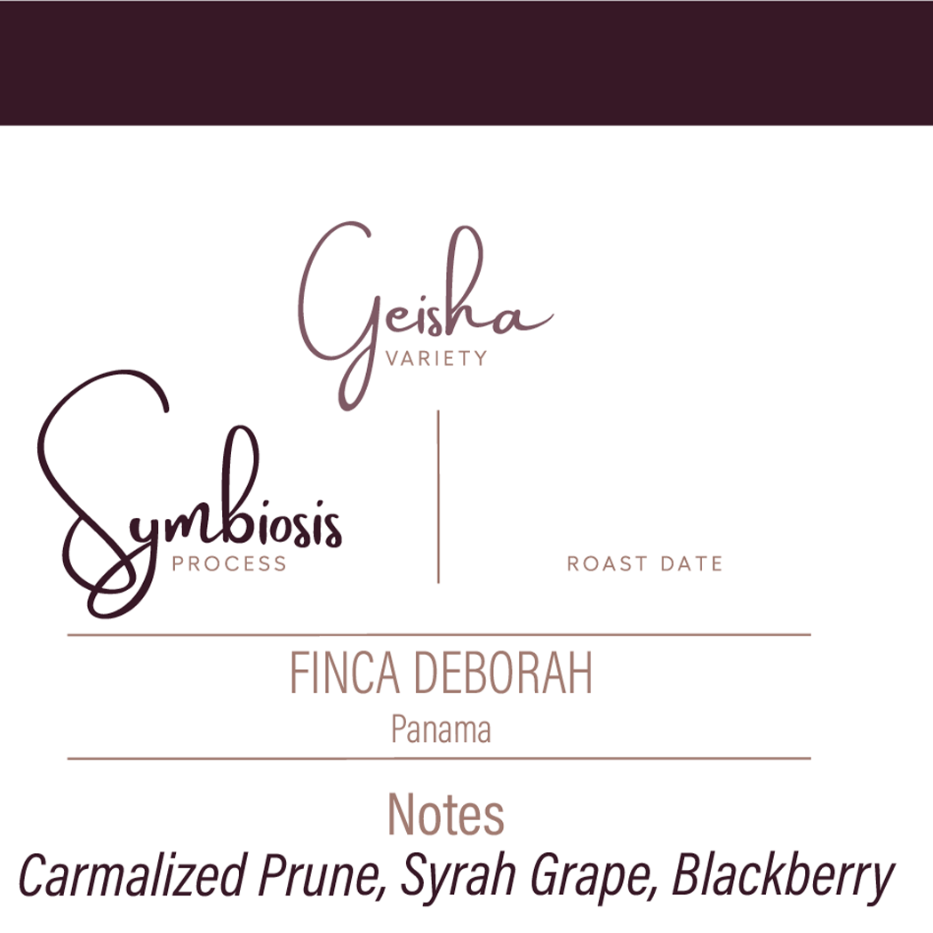 Symbiosis | Anaerobic Natural Process Geisha