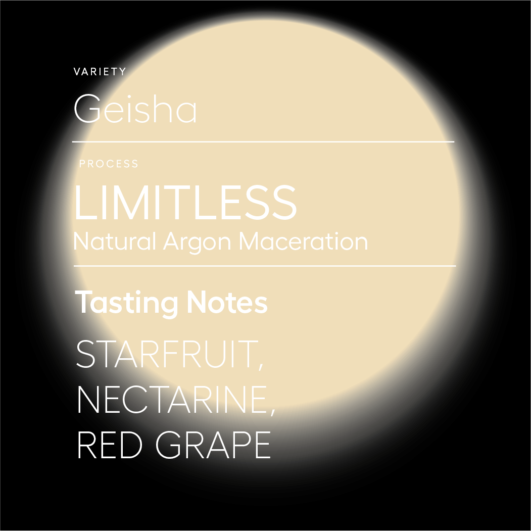 Whole Bean Membership