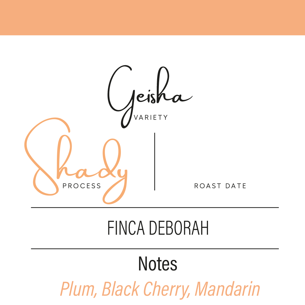 Finca Deborah | Shady