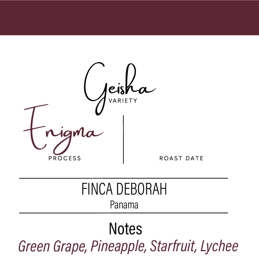 Finca Deborah | Enigma | Extended Natural CM