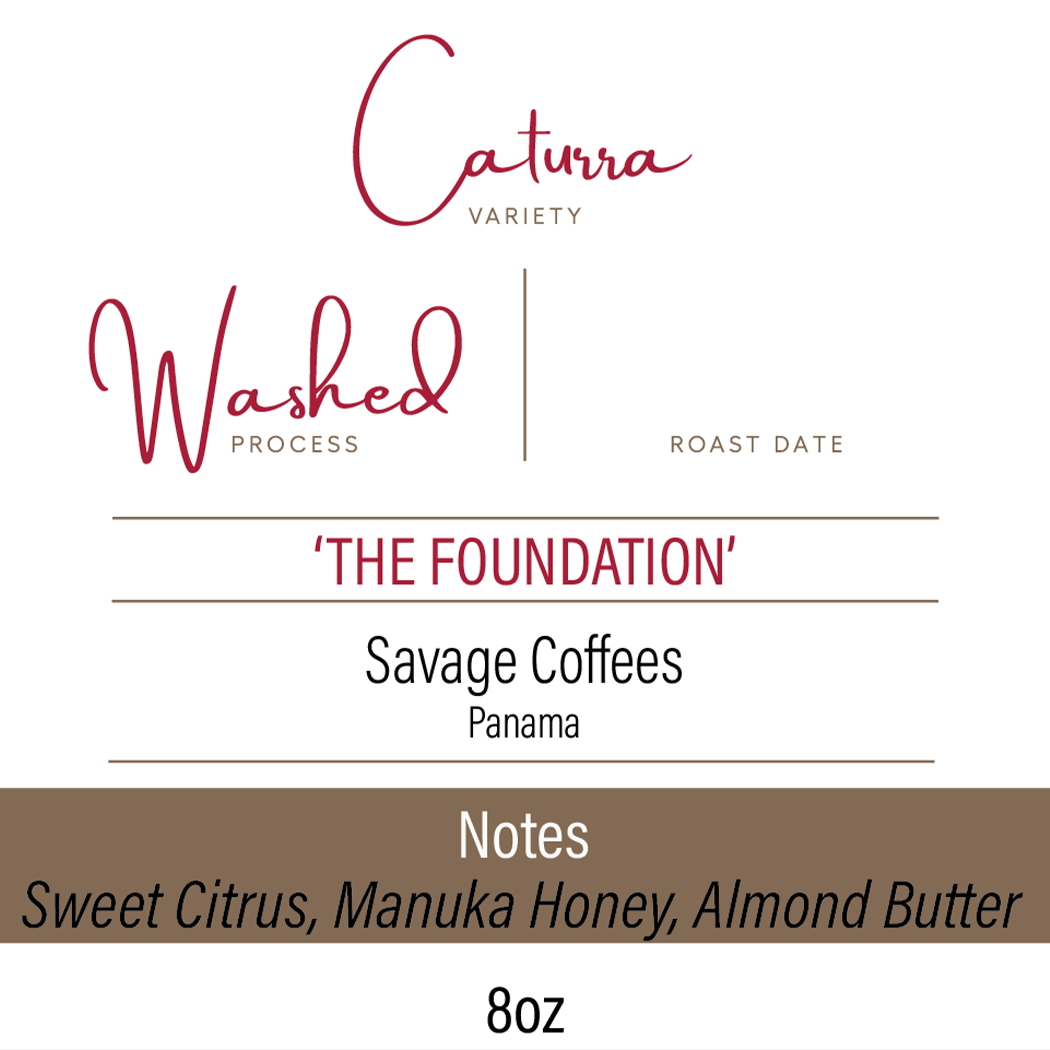 The Foundation | Caturra | Washed